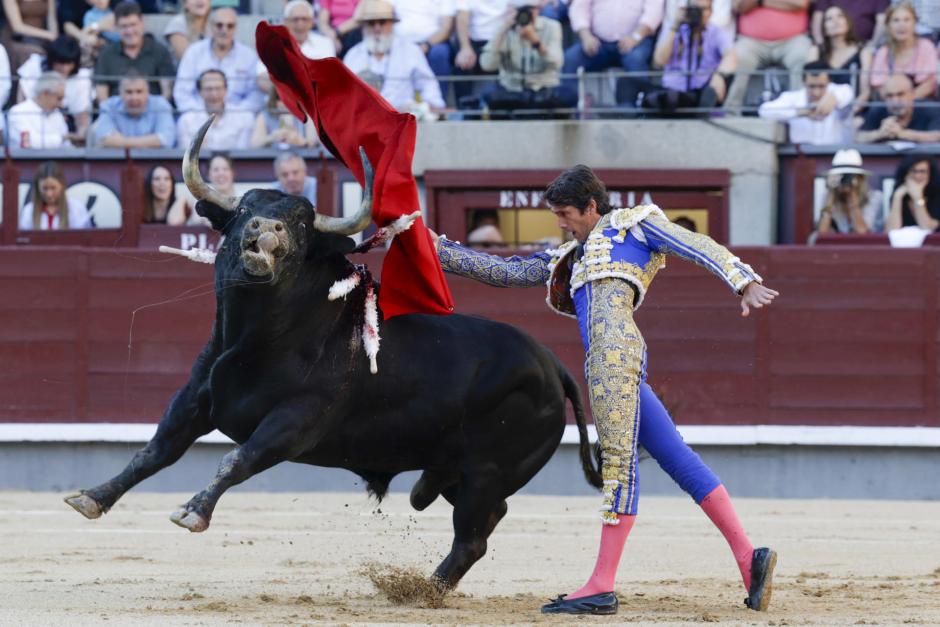 Pase de pecho de Sebastián Castella a Cantaor, toro negro listón, cinqueño, de 572 kilos