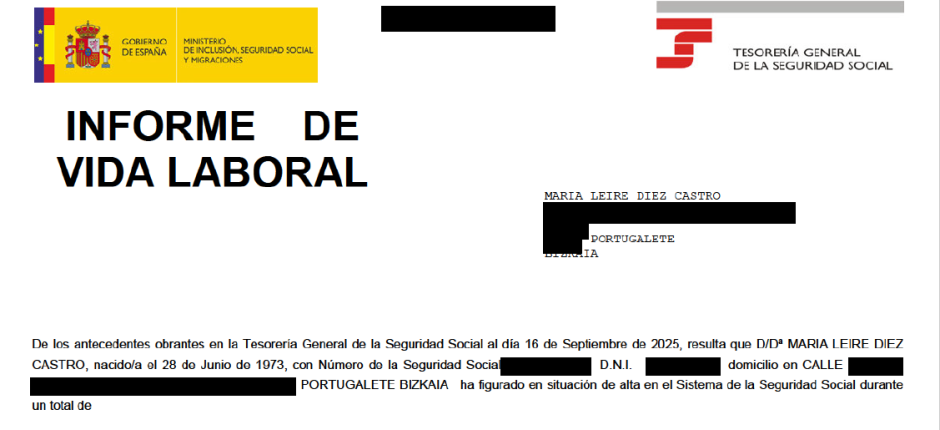 Informe de vida laboral de Leire Díez al que ha tenido acceso El Debate