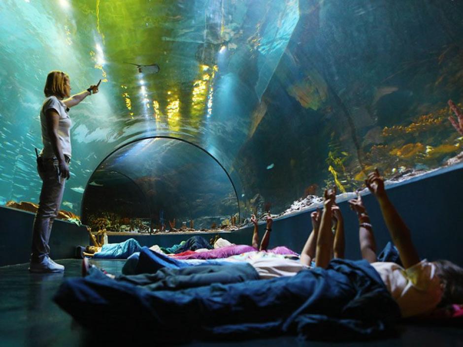 Atlantis Aquarium