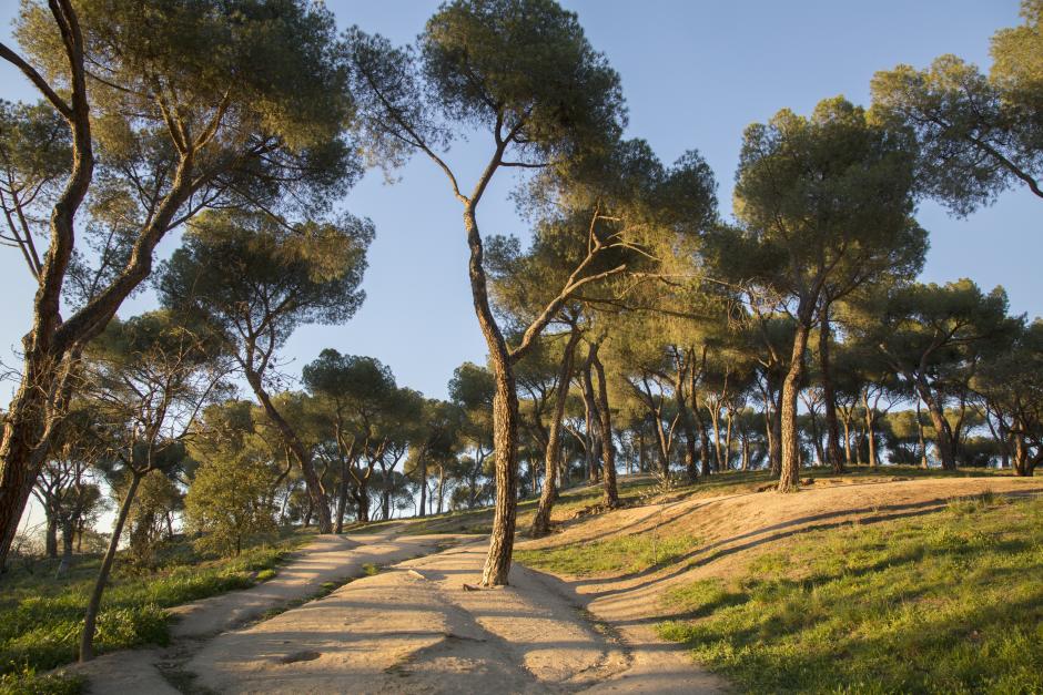 Dehesa de la Villa
