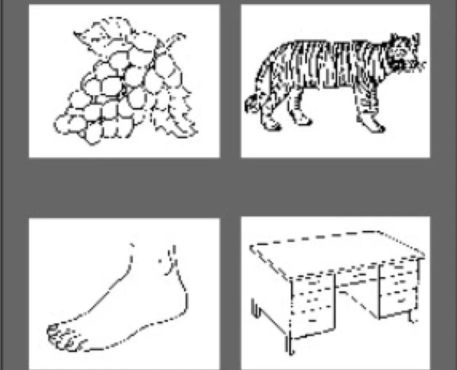 Prueba visual