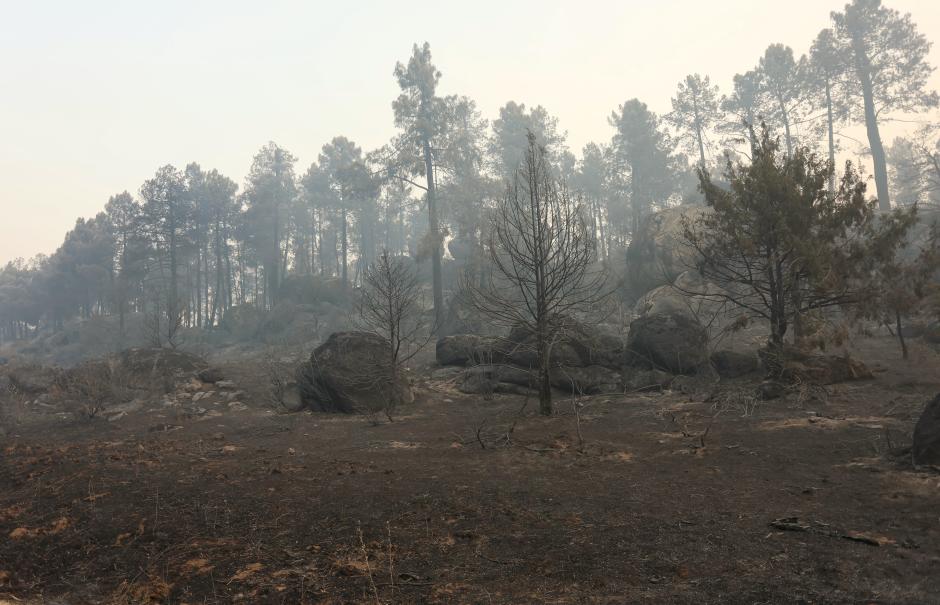 El incendio forestal de Burgohondo (Ávila) calcinó ya alrededor de 50.000 hectáreas