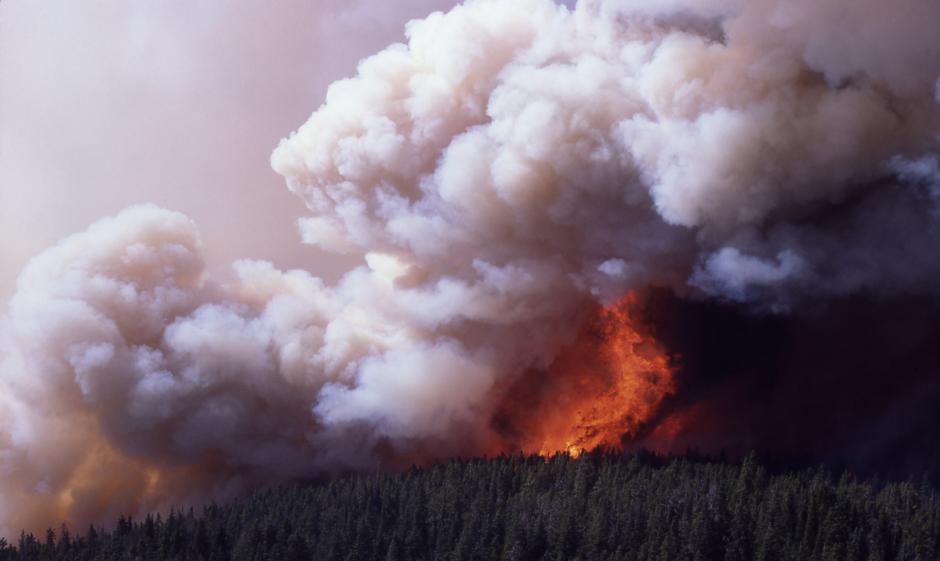 Tormenta ígnea durante un incendio en el Parque nacional Yellowstone.