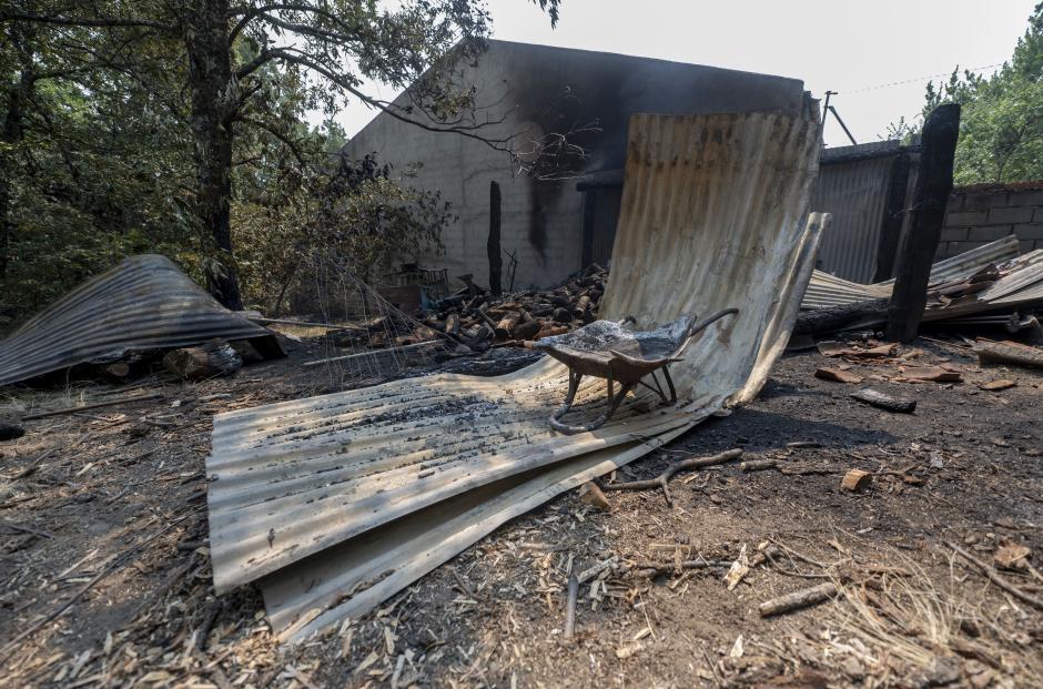 Restos del incendio forestal de Burgohondo (Ávila)