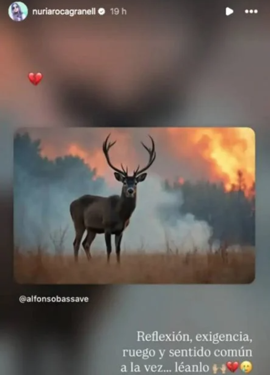 La publicación sobre los incendios que Nuria Roca compartió en su Instagram