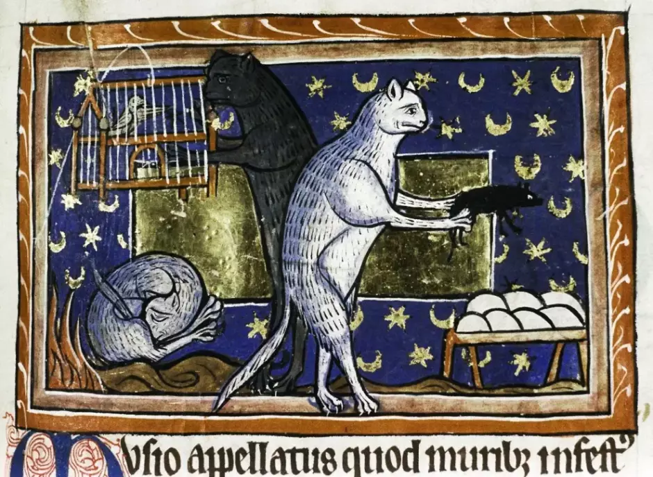 Gatos en un bestiario del siglo XIII. Los gatos aparecen muy a menudo en los manuscritos medievales, lo que no hace pensar que fueran animales denostados