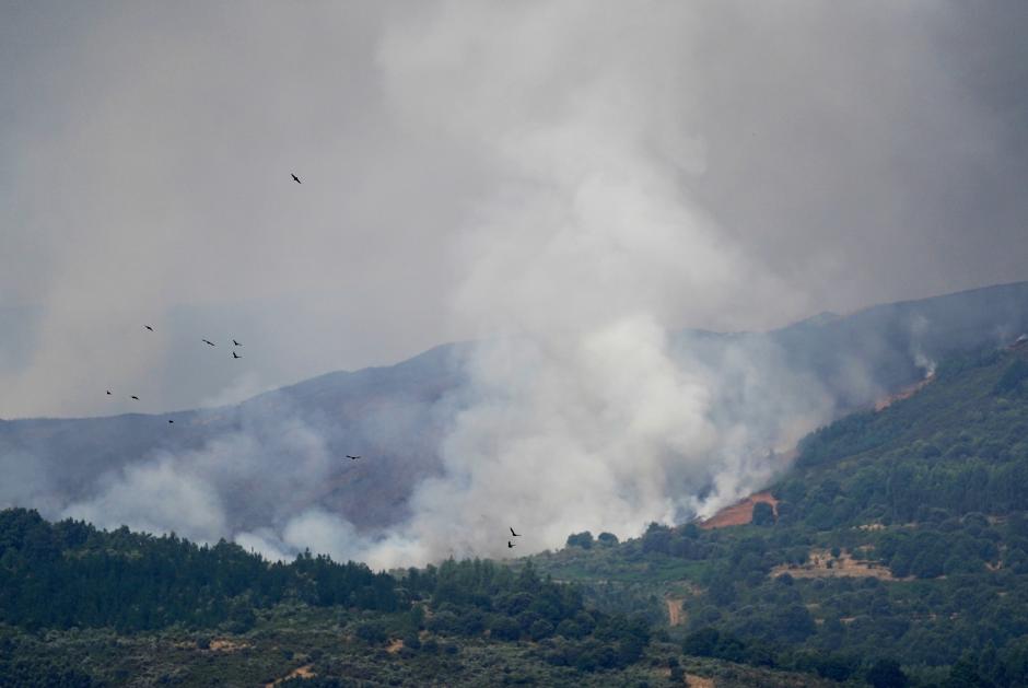 El incendio declarado en Veguellina (León) avanza hacia la localidad de Moreda (León)