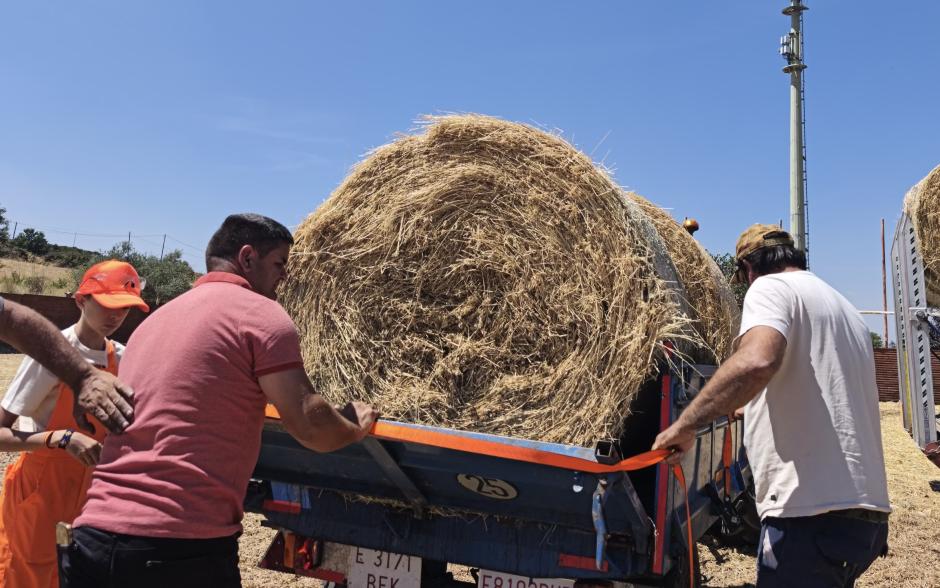 Vecinos de Fermoselle (Zamora) prepara alimento para la fauna que se ha salvado de las llamas
