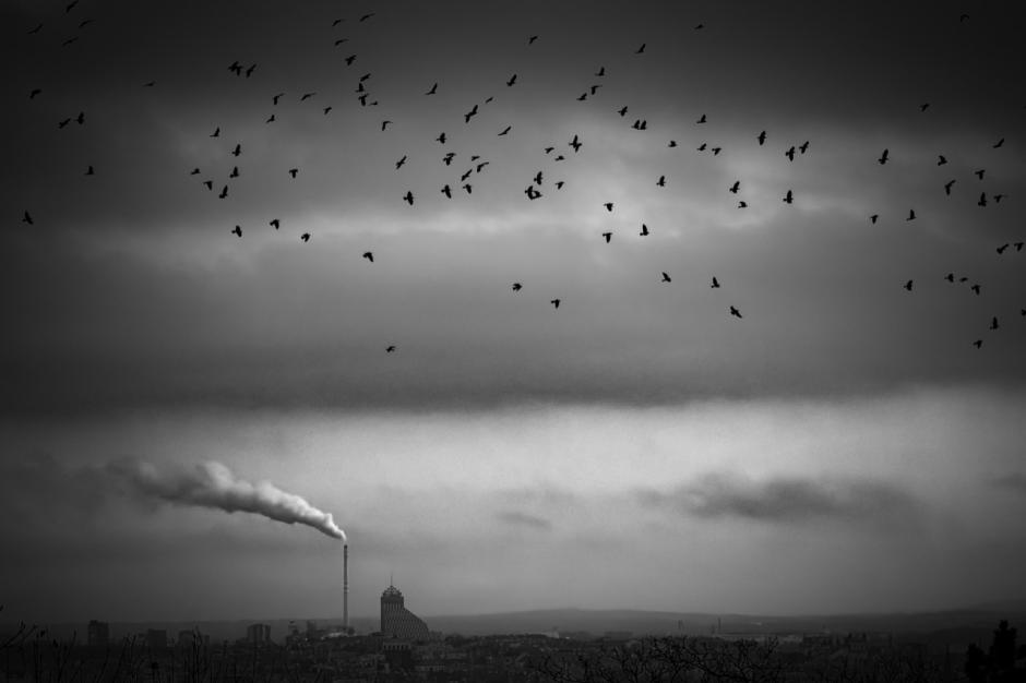 Imagen ganadora de la categoría 'Vida urbana' de los IPPAWARDS. La fotografía fue tomada con iPhone 17 Pro, 16,89 mm (equivalente a 200 mm), f/2.8, 1/750 s, ISO 20.