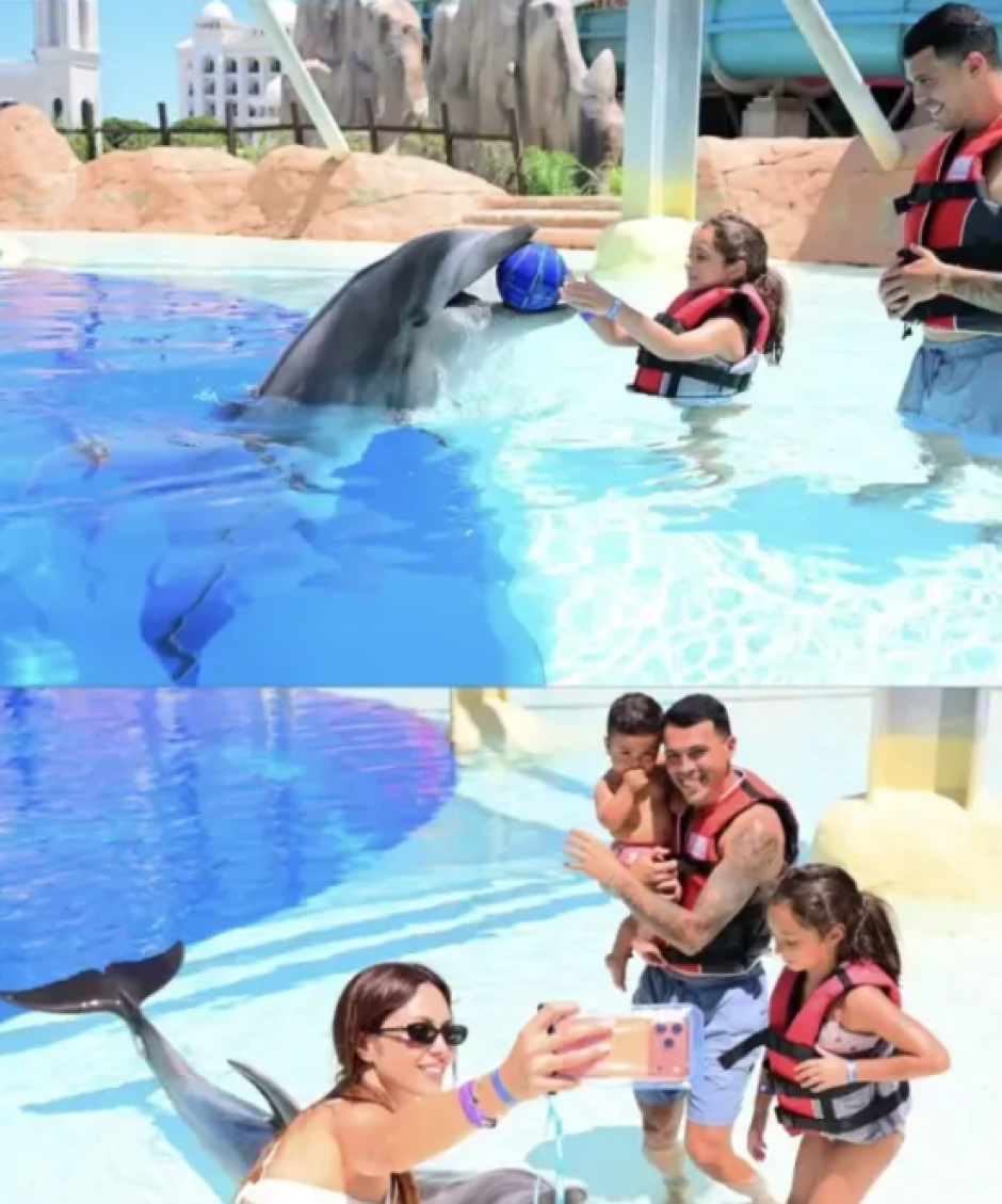 Pedro Porro y su familia jugando con delfines durante sus vacaciones