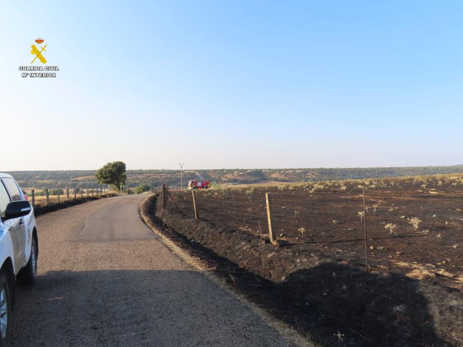 Imagen de la zona quemada en Berrocal de Huebra, Salamanca