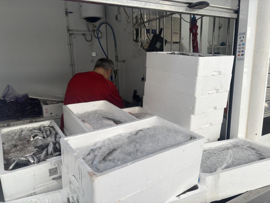 Imagen tomada este sábado de un pescadero del Mercado Central de Abastos de Ceuta