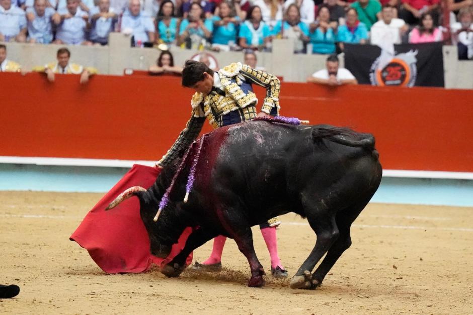 Sebastián Castella toreando