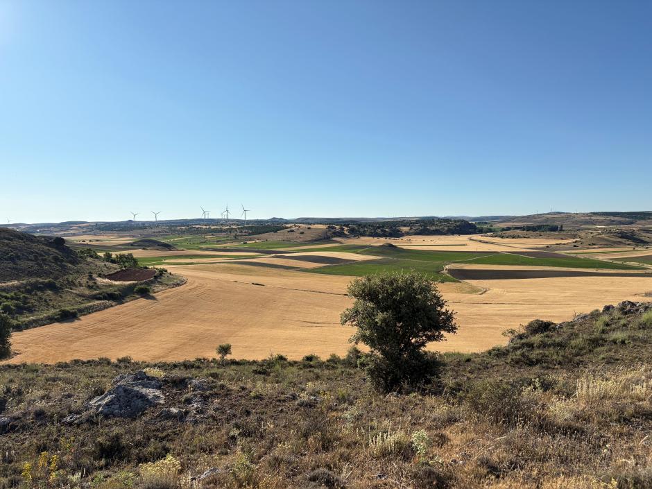 Sigüenza