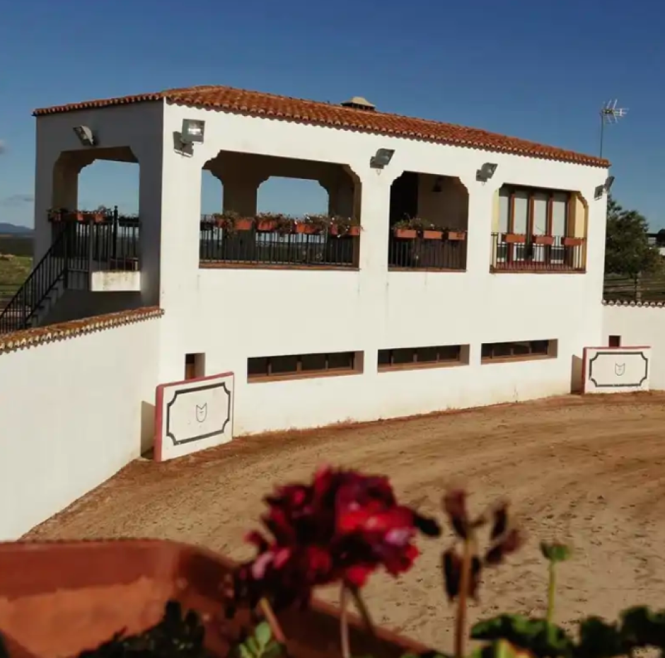El pequeño tentadero que Talavante tiene en su finca