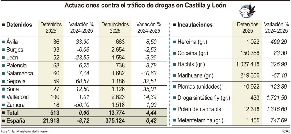 Actuaciones contra el tráfico de drogas en Castilla y León
