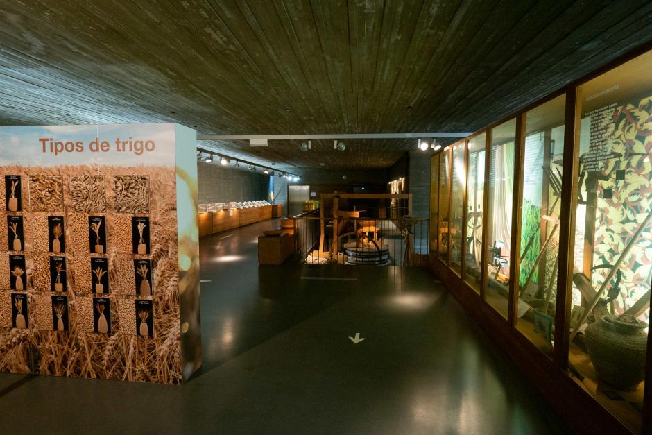 Imagen del interior del Museo del Pan, en Peñafiel, Valladolid