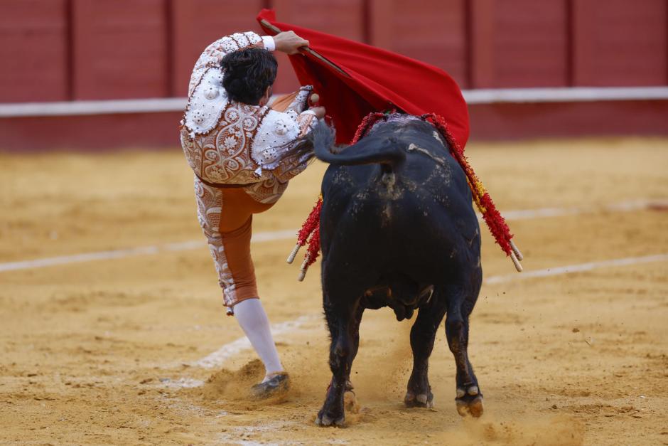 Morante de la Puebla, volteado por el primero de su lote este jueves en Málaga