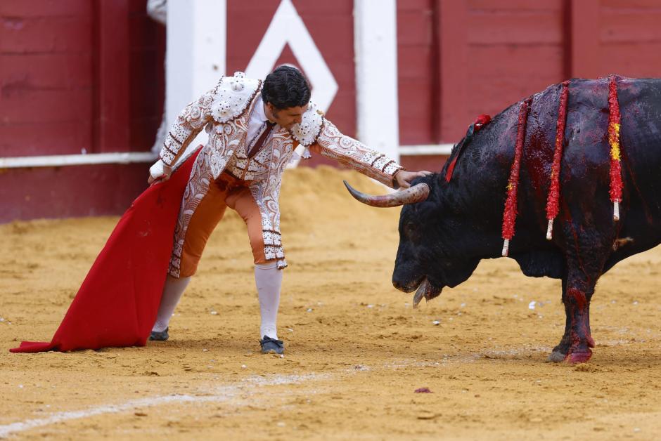 Morante de la Puebla coloca la mano entre los pitones de ese primer toro