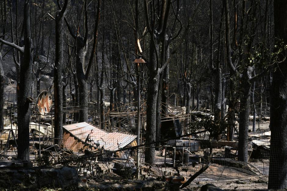 Paisaje quemado en el Parque Natural del Valle de Iruelas arrasado por el incendio de Burgohondo (Ávila)