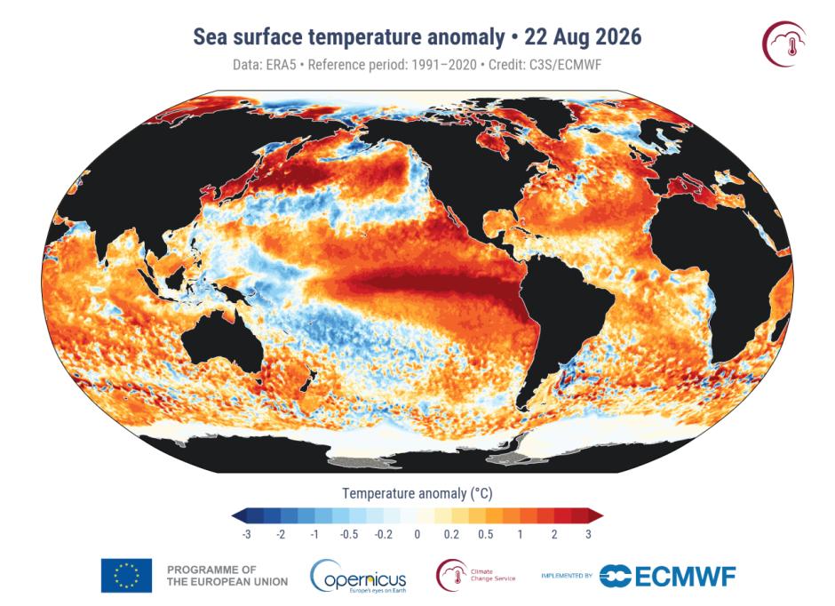 Anomalías en la temperatura de la superficie del mar para el 22 de agosto de 2026