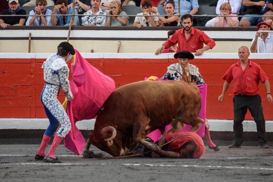 Un monosabio ha sufrido una cogida durante el segundo toro de Castella