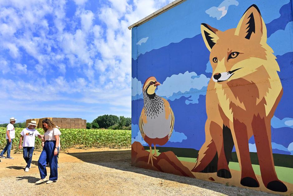La Asociación Cultural 'In Polvorosa Pede Pones' (Pon pies en Polvorosa) realiza  un gran mural  en Polvorosa de Valdavia, en Palencia