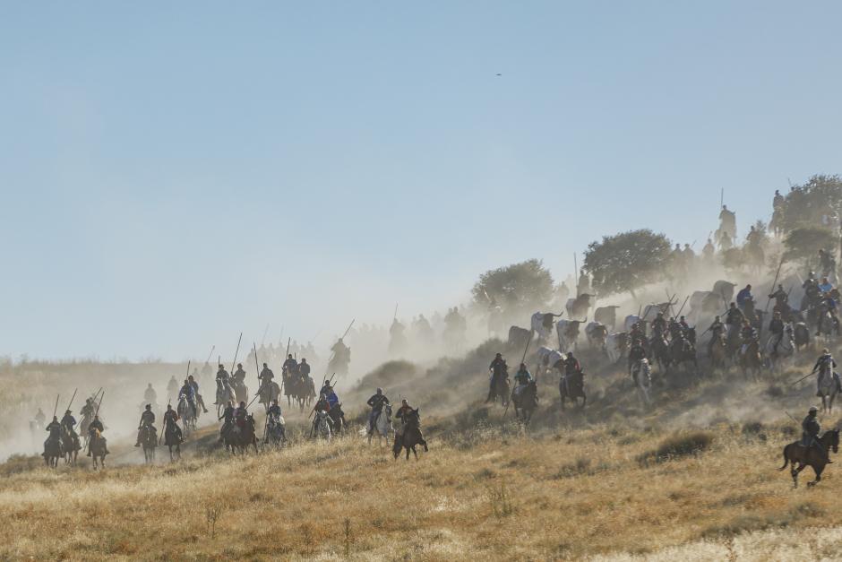 Segundo encierro de las las fiestas de Nuestra Señora del Rosario de Cuéllar, con toros de la ganadería Partido de Resina