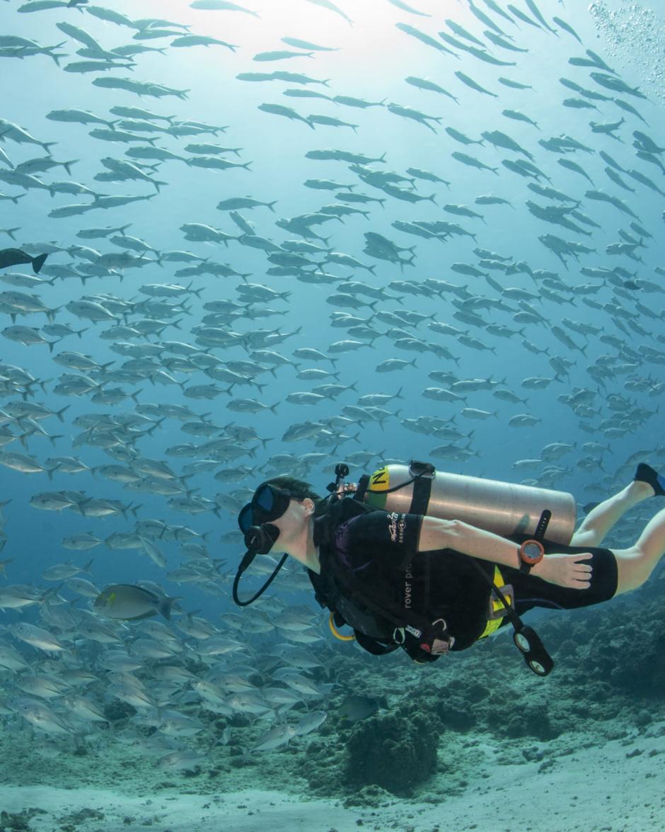 Buceo en aguas de Palaos