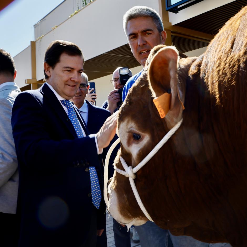 Alfonso Fernández Mañueco, en la Feria del Sector Agropecuario de Salamanca
