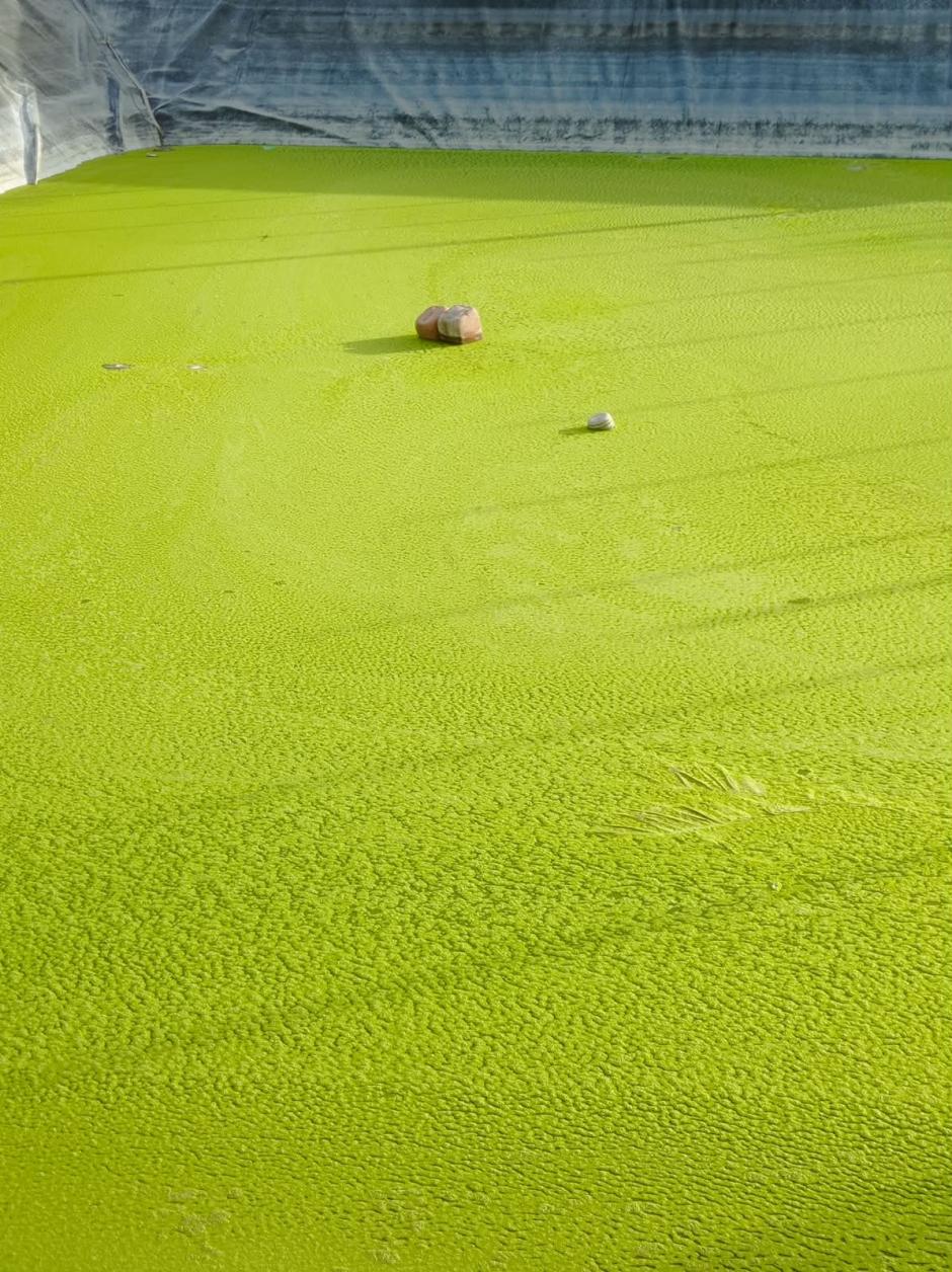 Estadi de una de  las balsas :"Parece un campo de fútbol"