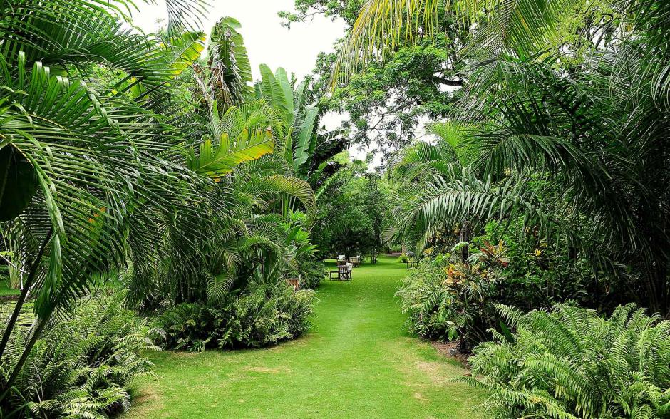 Naturaleza exuberante en la península de Anjajavy