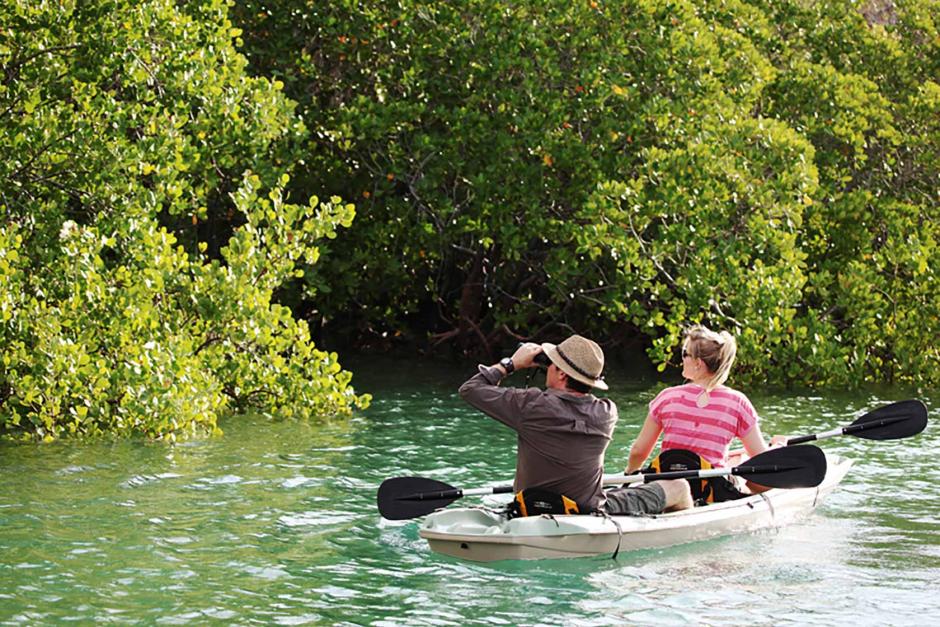 Paseo en kayak por los manglares