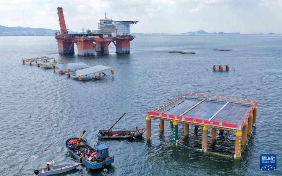 plataforma