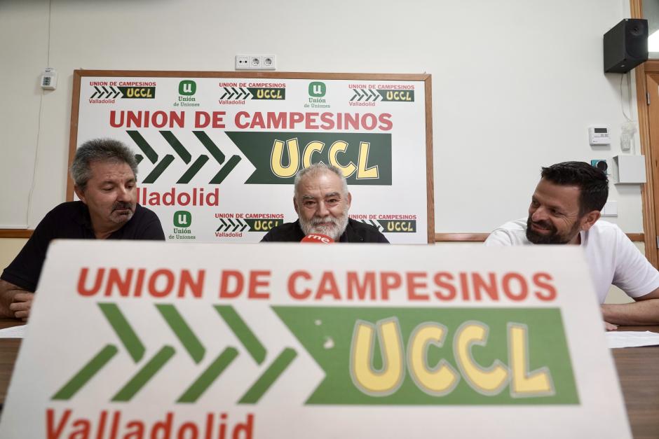 La Unión de Campesinos de Castilla y León (UCCL) analiza la situación del sector del viñedo