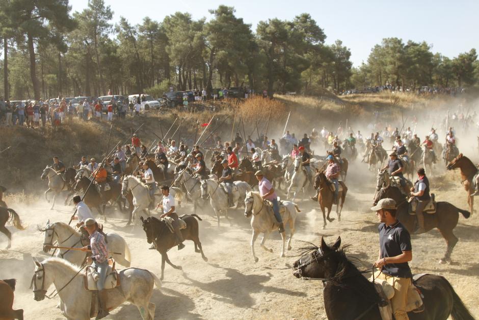 Encierro en la localidad segoviana de Nava de la Asunción