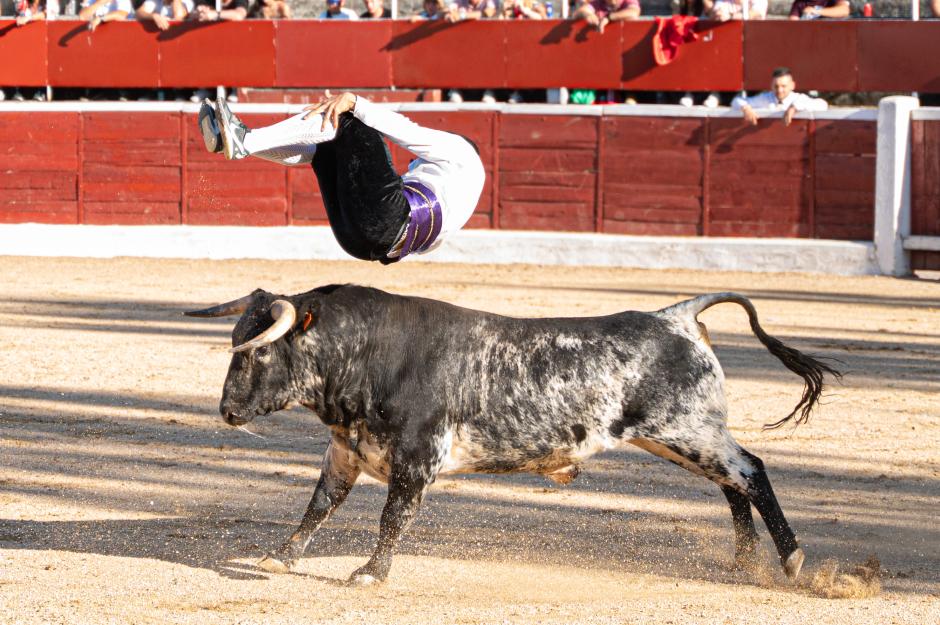 Un joven salta un novillo en una exhibición de recortes