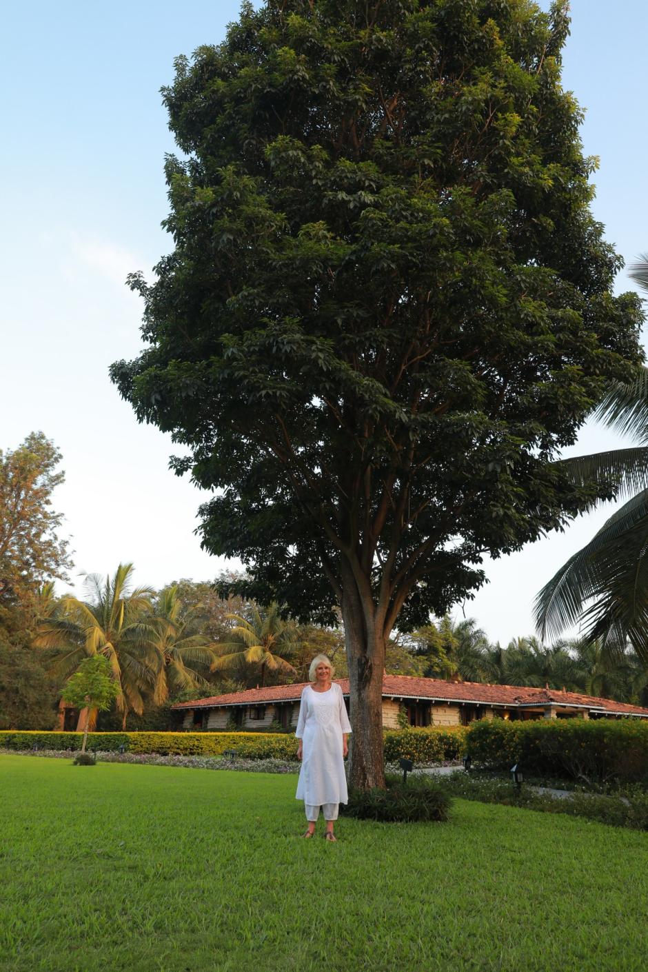 La reina consorte Camilla junto el árbol de Soukya que ella plantó en 2012