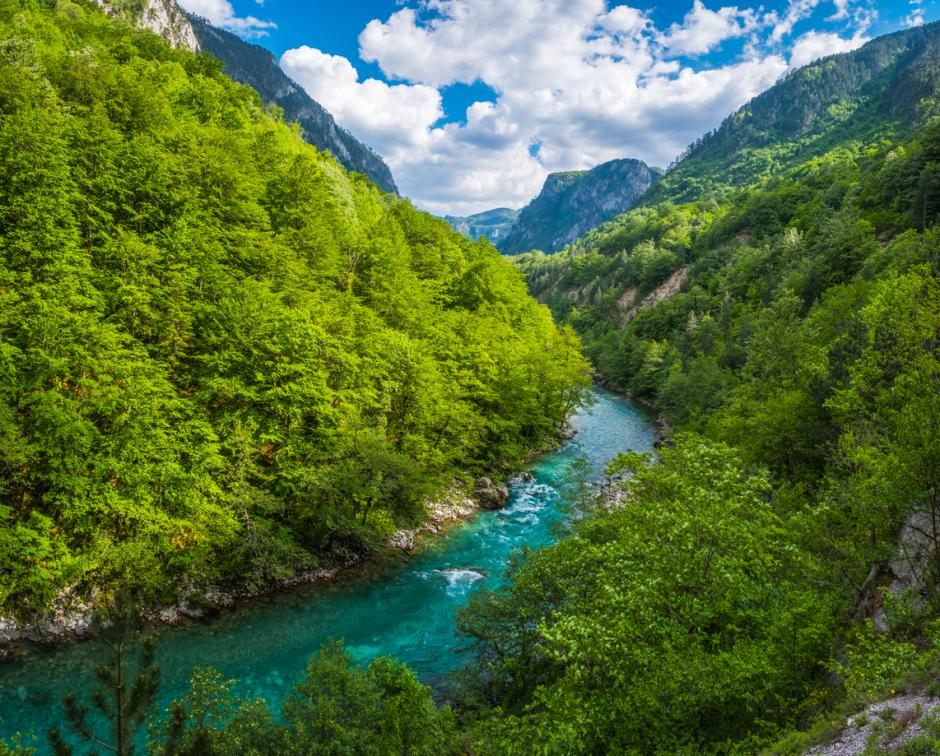 Cañón del río Tara en el Parque Nacional Durmitor, sitio declarado Patrimonio Mundial
