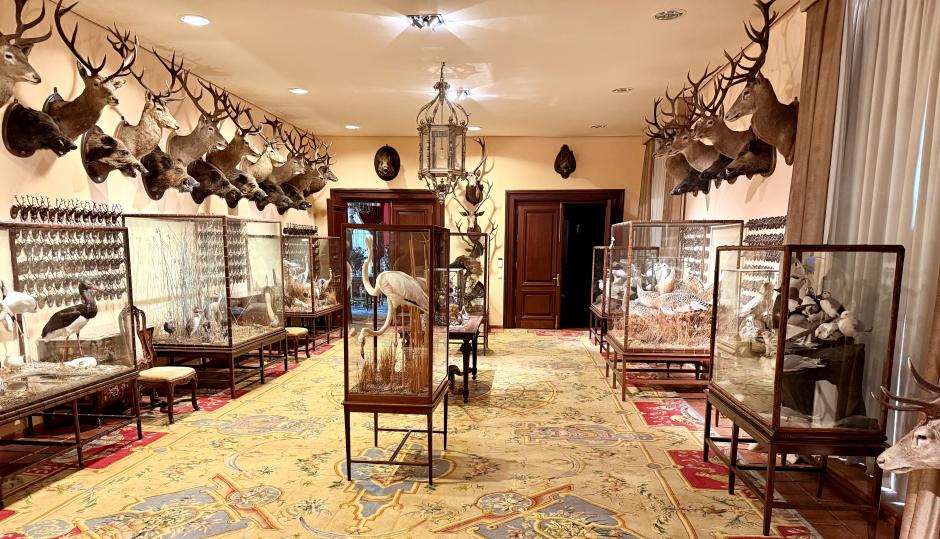 Exposición de la Fundación Casa Ducal de Cardona