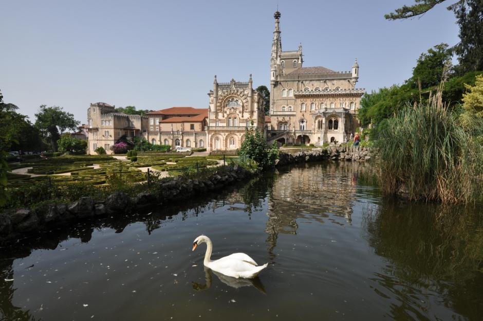 El hotel se ubica dentro del Bosque Nacional de Bussaco