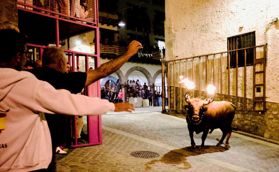 El toro se ha detenido y mira hacia dos hombres que extienden los brazos desde detrás de una barrera