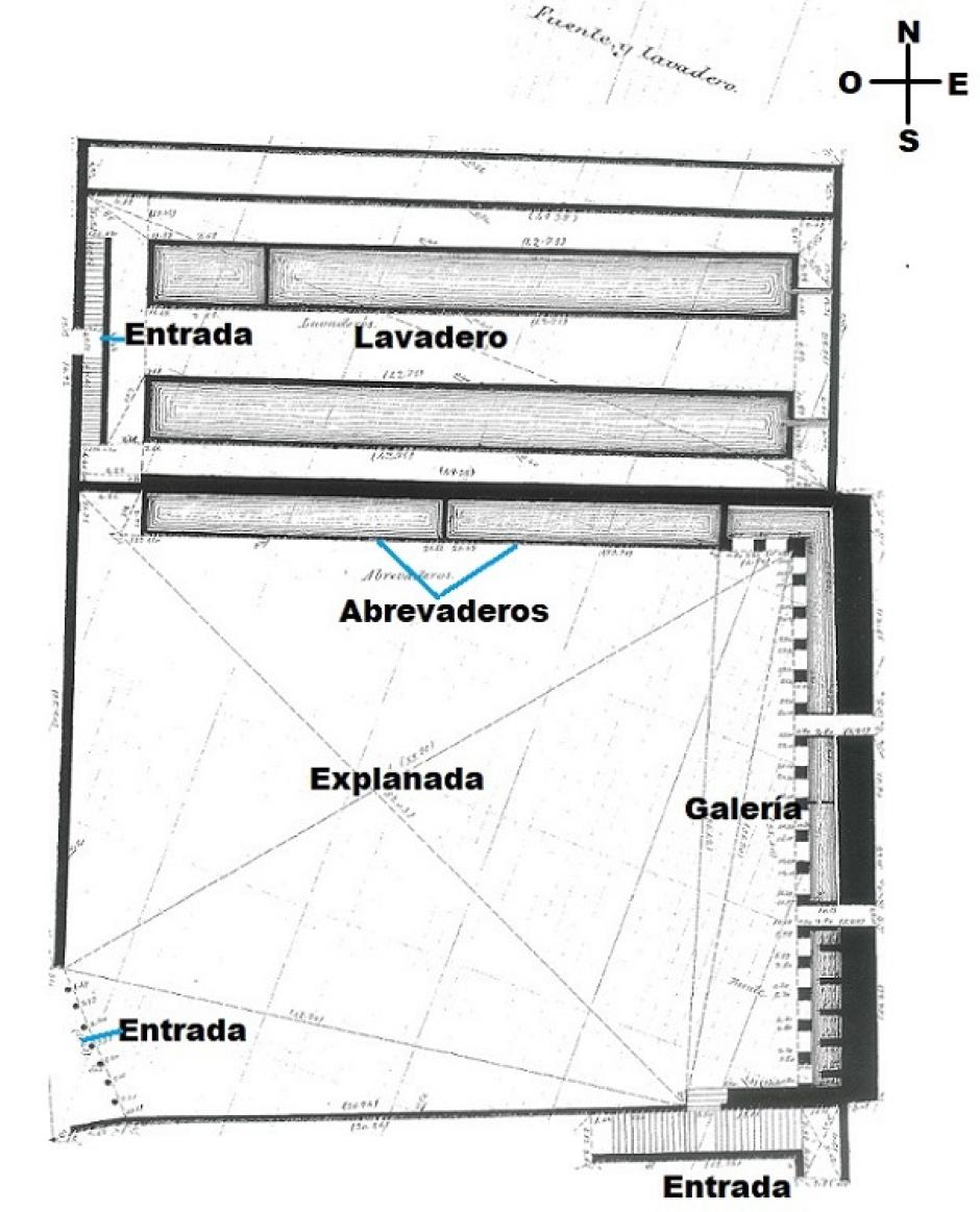 Planta