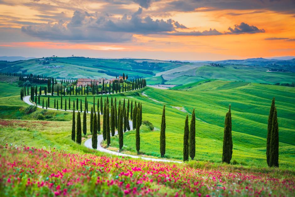 Colinas y cipreses en la Val d'Orcia de la Toscana