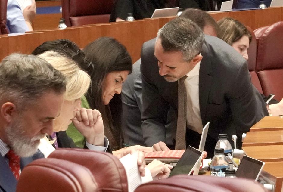 La procuradora de Vox María Dolores Mateo junto al portavoz parlamentario David Hierro en el Pleno de las Cortes