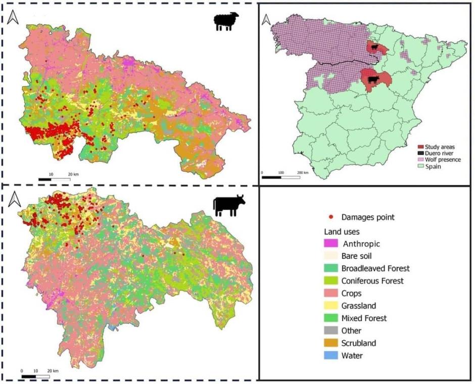 Áreas de estudio en La Rioja (arriba a la izquierda) y Guadalajara (Castilla-La Mancha, abajo a la izquierda),