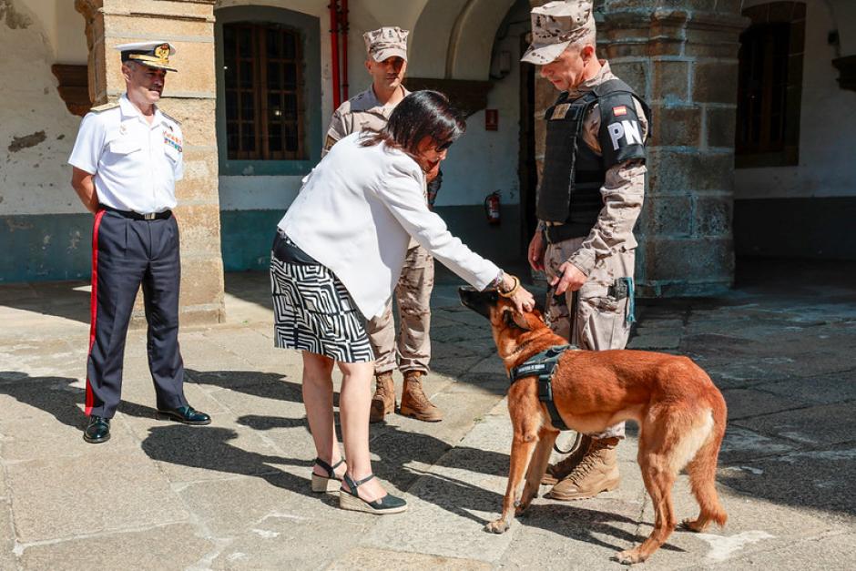 La ministra Robles acaricia a un perro de los equipos cinológicos de detección de explosivos y drogas del Tercio Norte