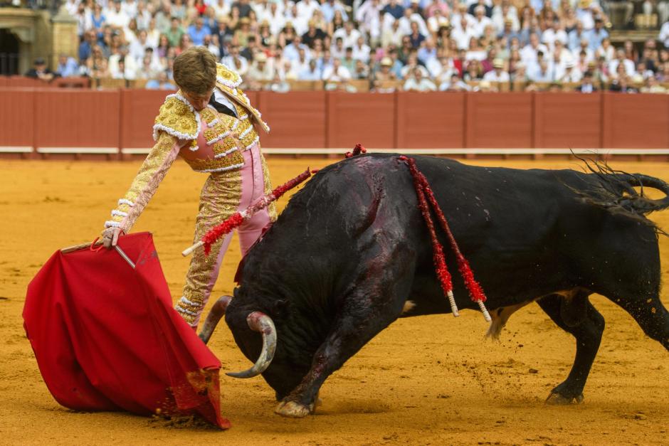Borja Jiménez, este domingo en La Maestranza