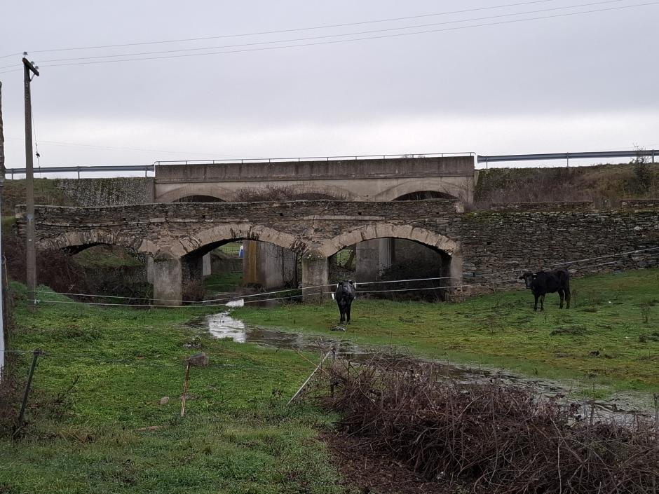 Detalle de los alrededores del molino