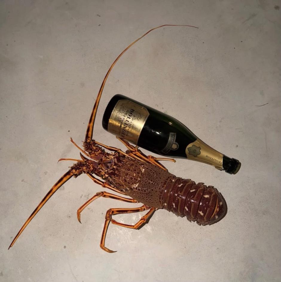 La langosta y el champagne Bollinger de Llorente